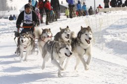 Lenk 2012 SM